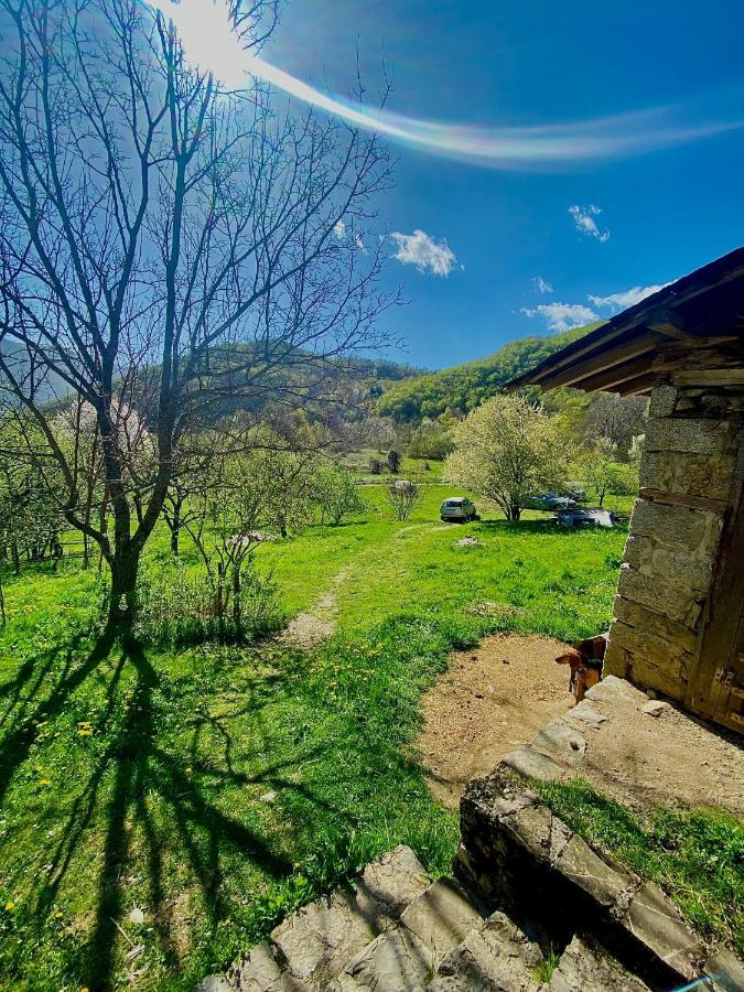 Cottage Modrich Струга Екстериор снимка