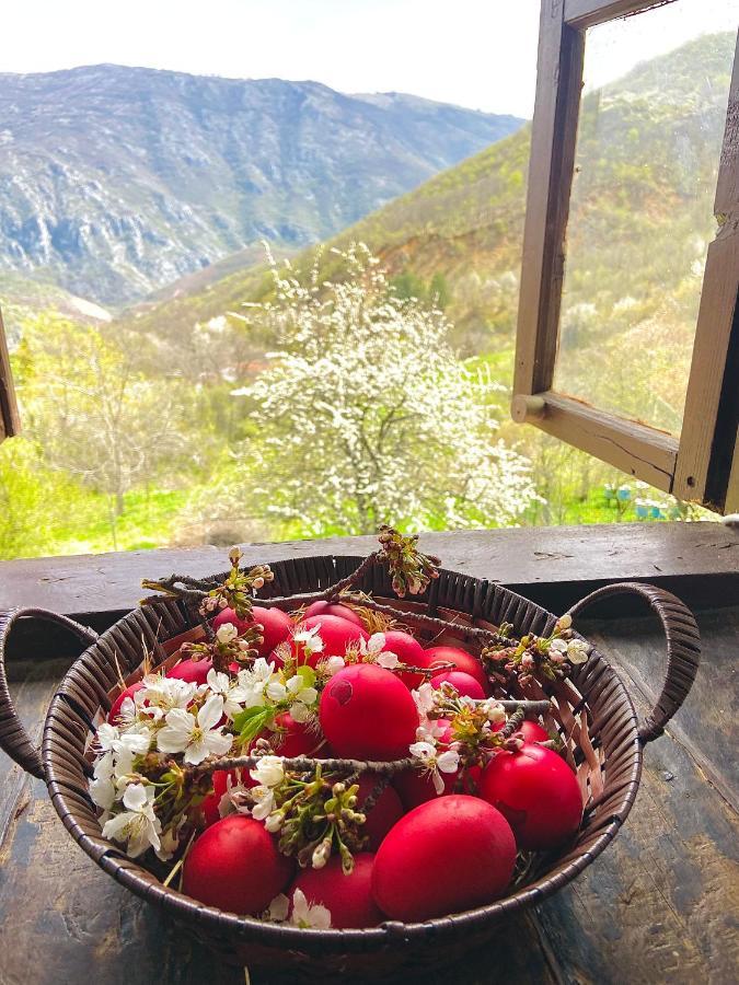 Cottage Modrich Струга Екстериор снимка