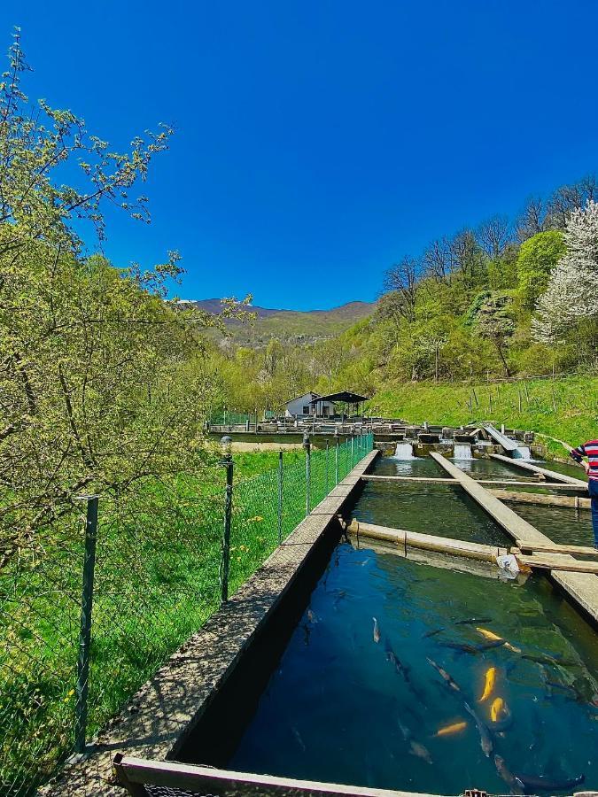 Cottage Modrich Струга Екстериор снимка