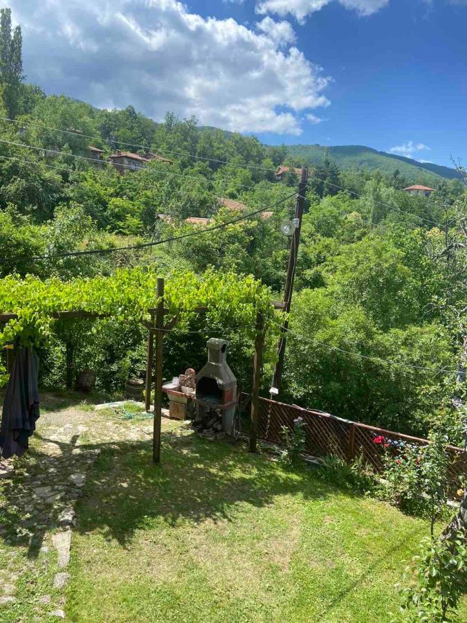 Cottage Modrich Струга Екстериор снимка
